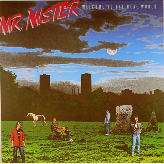 Пластинка Mr. Mister Welcome to the Real World